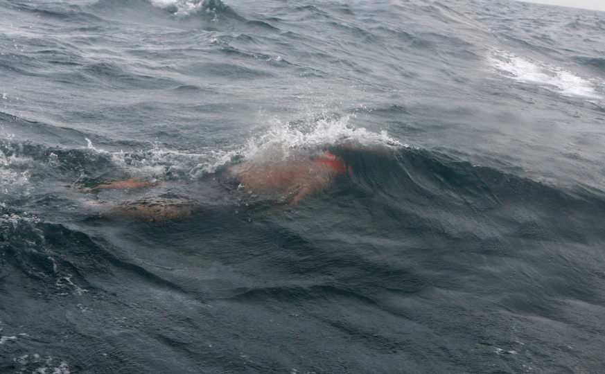 Doug McConnell Swimming the English Channel